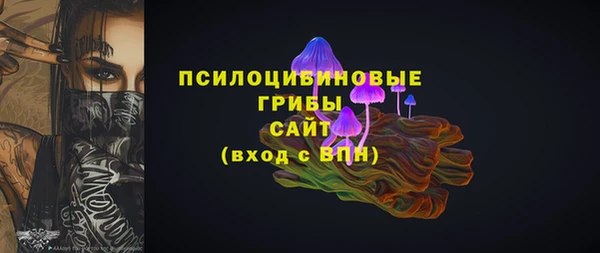 стафф Алексин