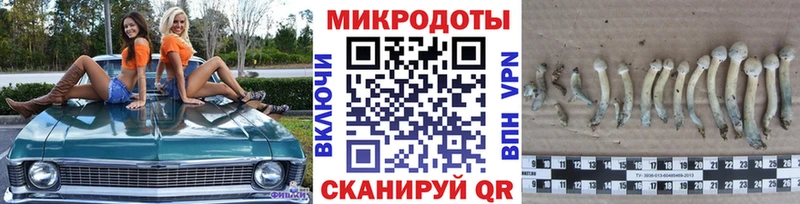 сколько стоит  блэк спрут зеркало  Псилоцибиновые грибы прущие грибы  Астрахань 